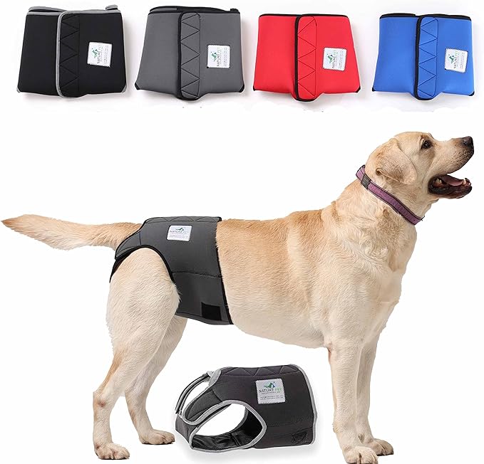 Läufigkeitshose für Hündinnen