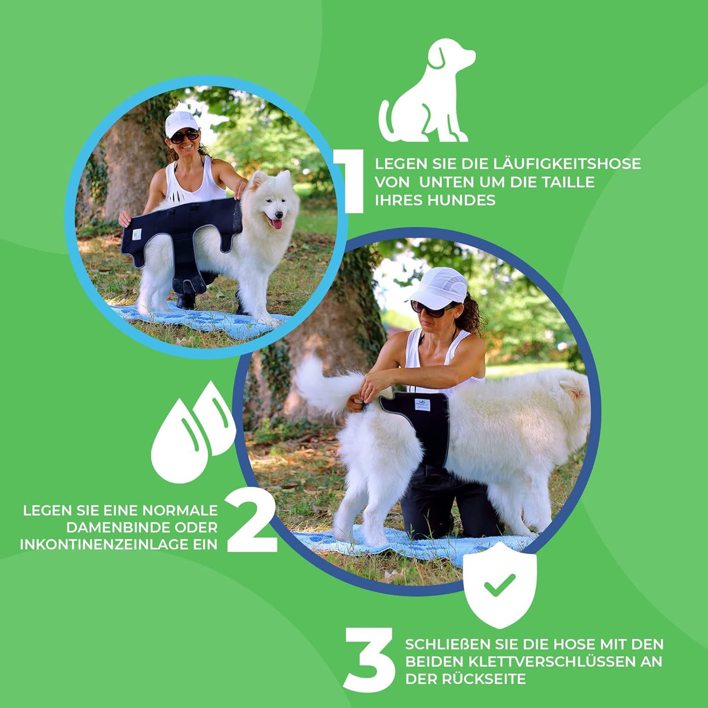 Läufigkeitshose für Hündinnen