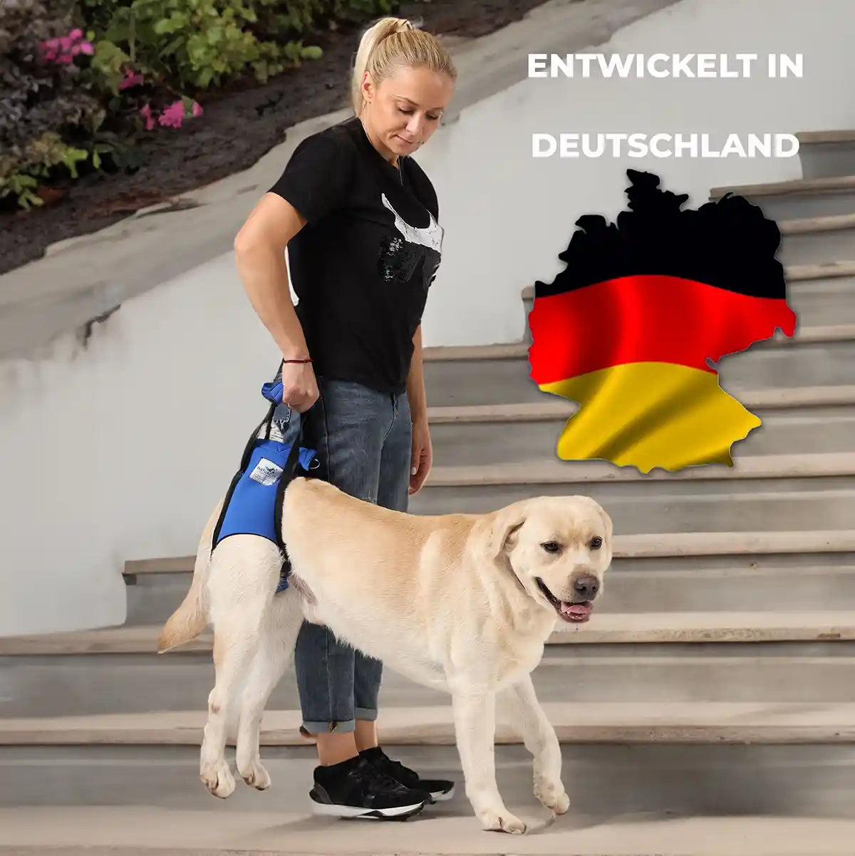 Hunde Tragehilfe hinten