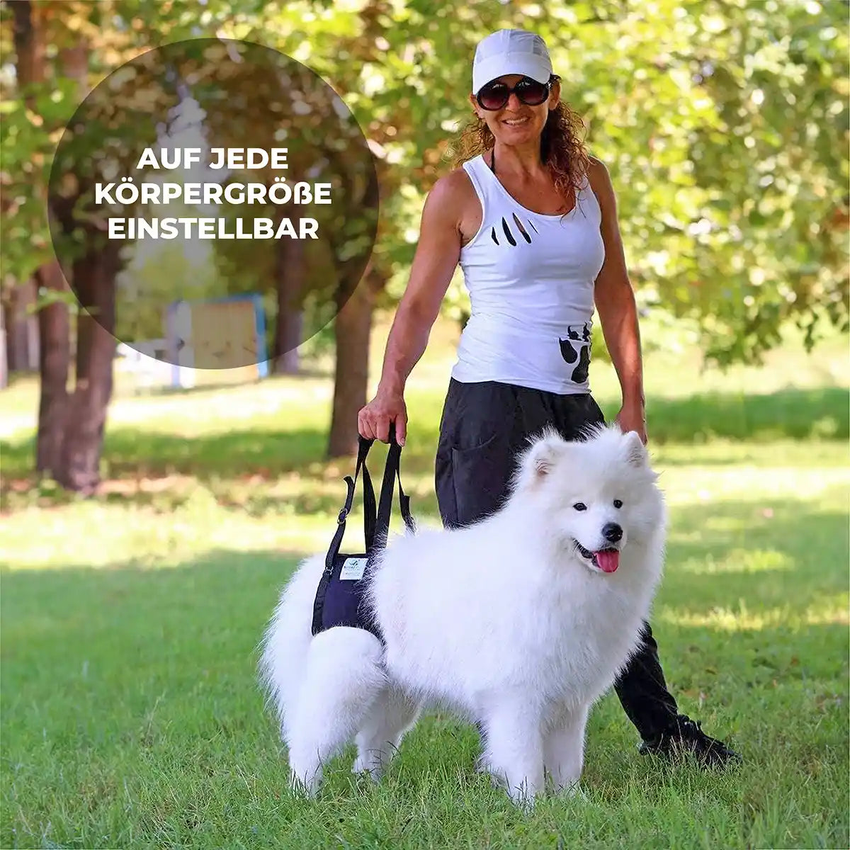 Hunde Tragehilfe hinten