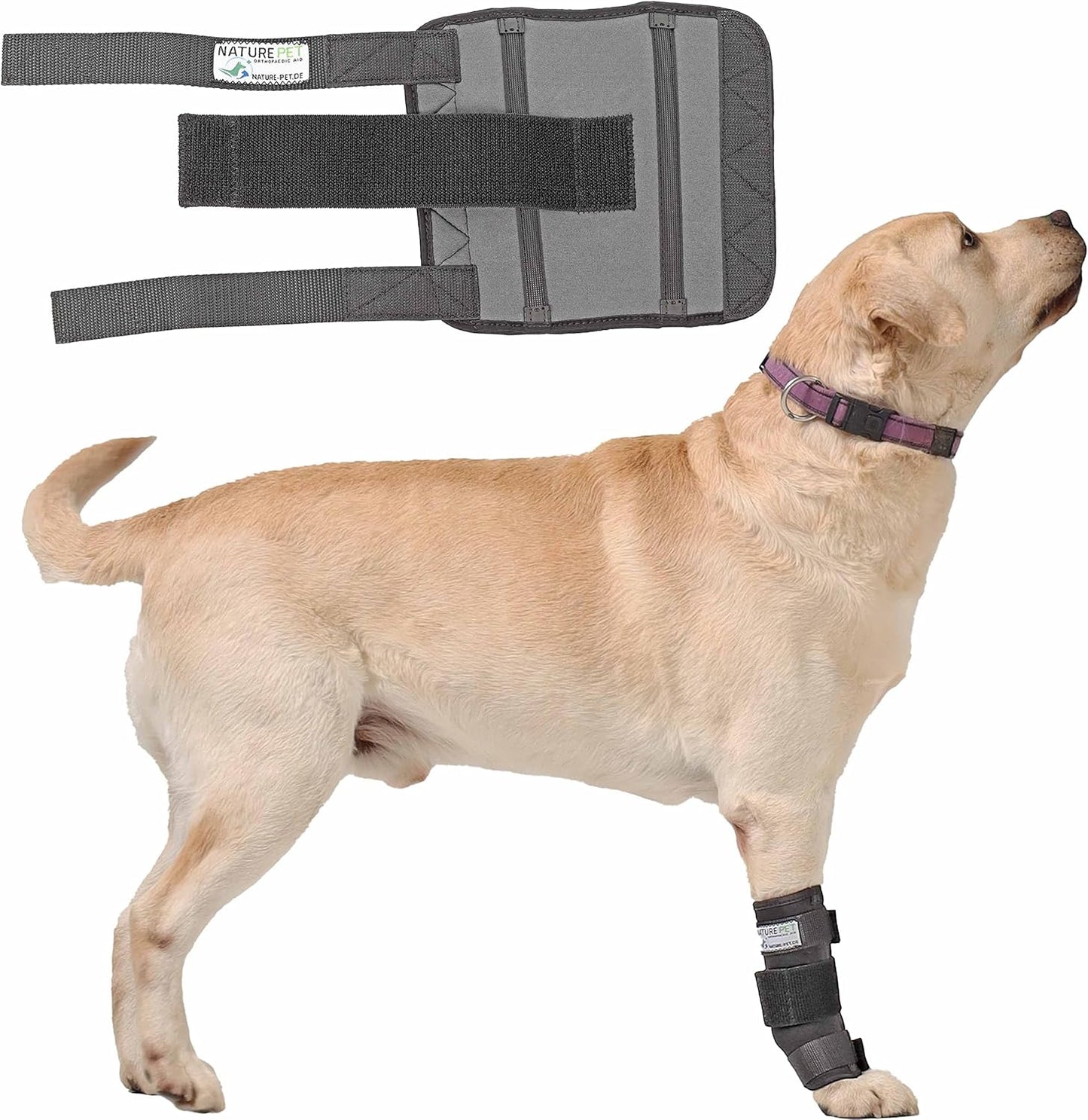 Medium Handgelenksbandage für Hunde