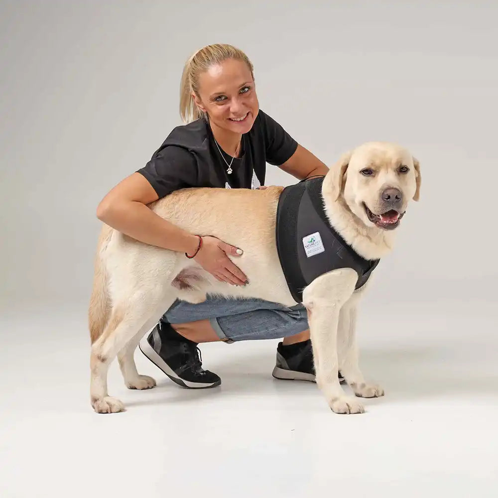 Schulter Abduktion Bandage für Hunde