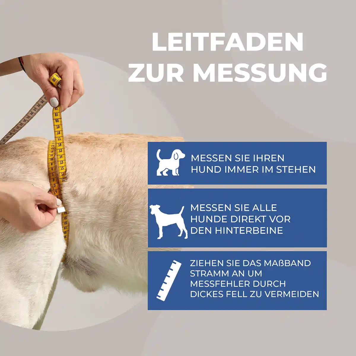 Hunde Tragehilfe hinten