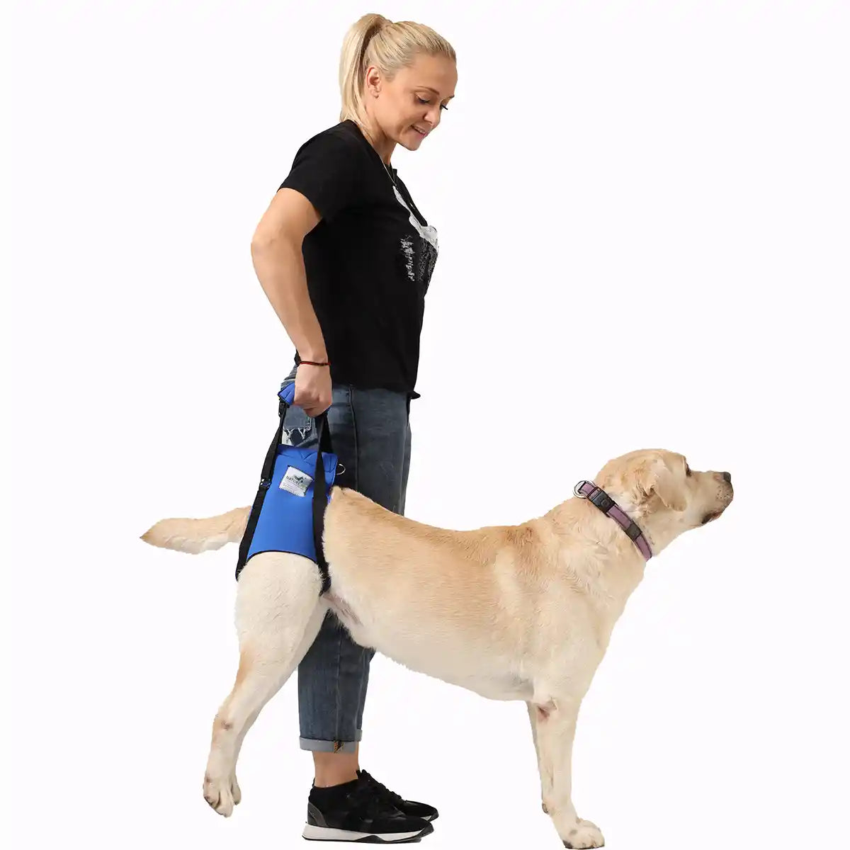 Hunde Tragehilfe hinten