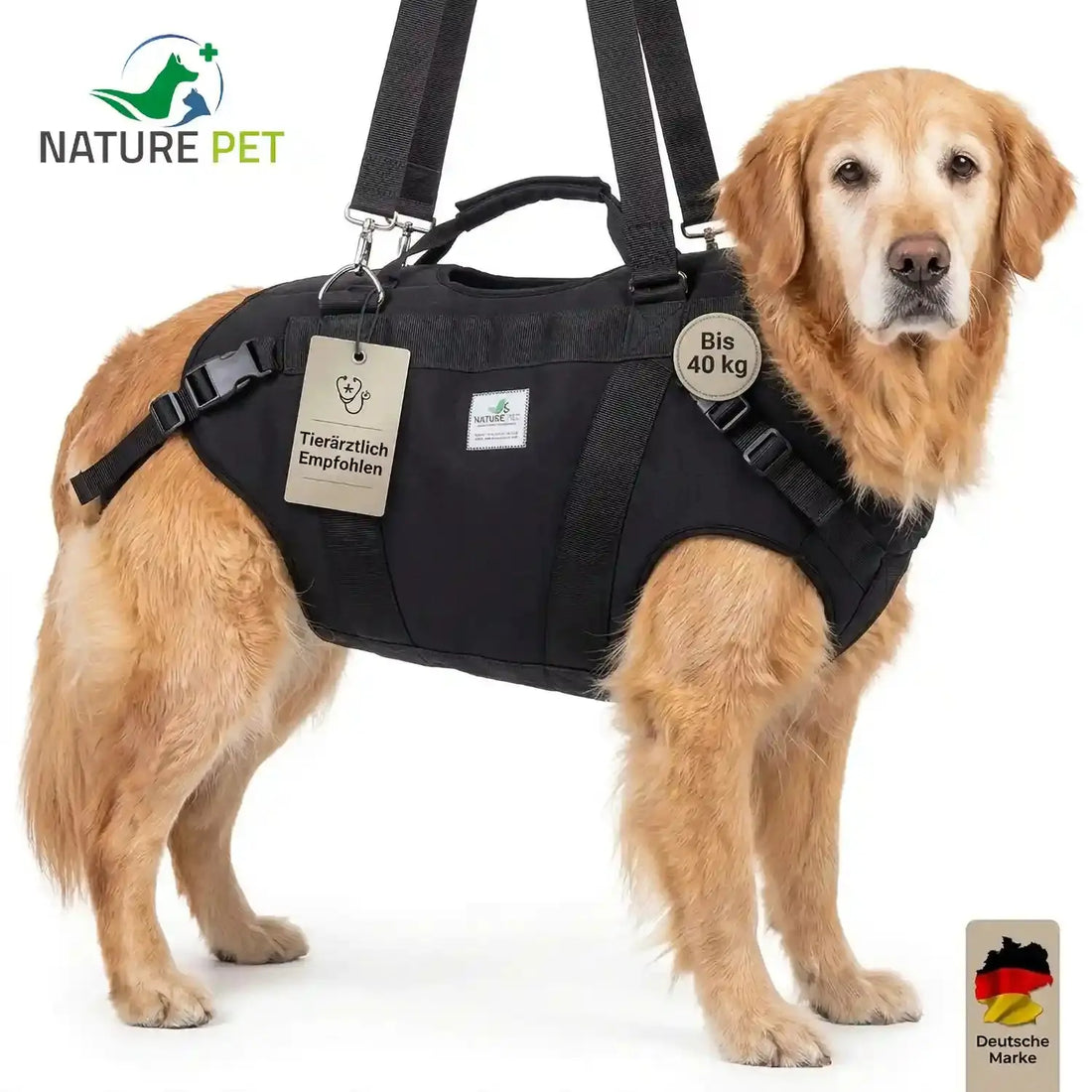Hund mit angelegter Ganzkörpertragehilfe von Nature Pet