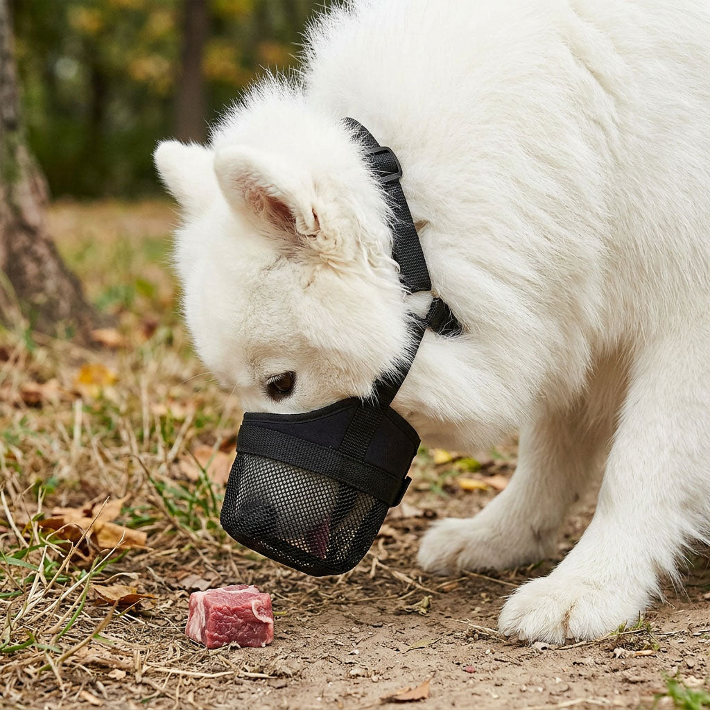 Giftköder-Saison: Neopren-Schutznetz für Hunde im Frühling