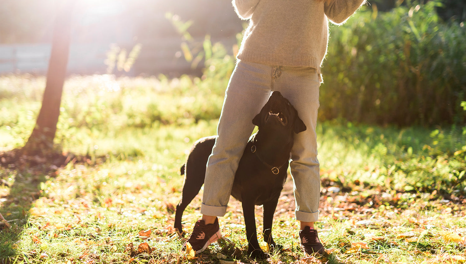 Hund steht zwischen den Beinen des Herrchen