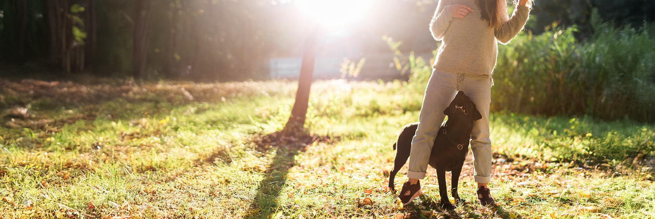 Hund steht beim Frauchen