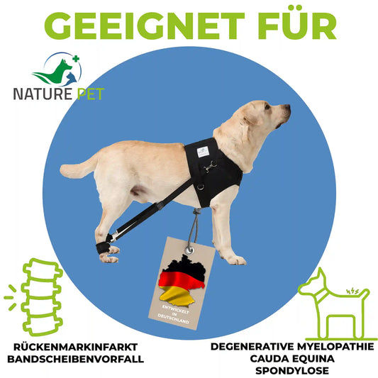 Hundeexpander, Rehageschirr für Probleme an den Hinterläufen