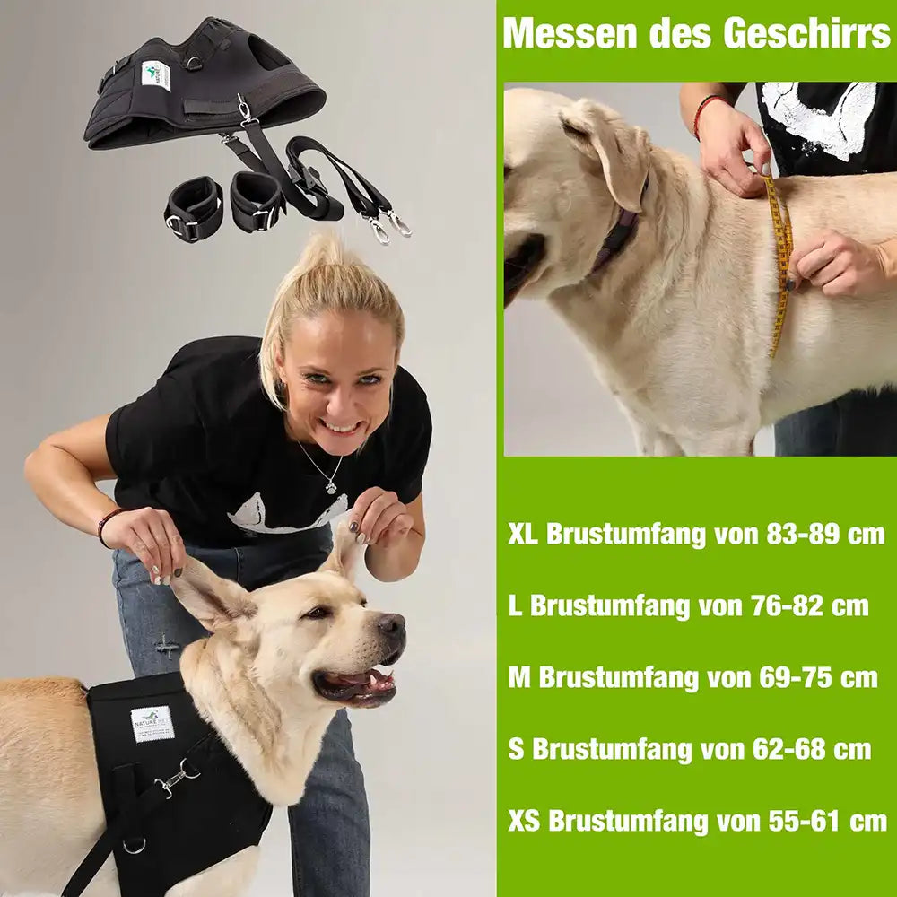 hunde trainingsgeschirr