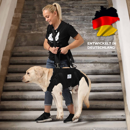 Durchgehende Tragehilfe für Hunde