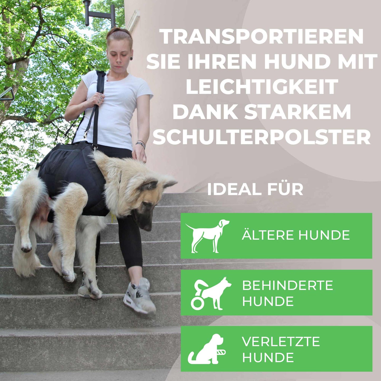 Durchgehende Tragehilfe für Hunde