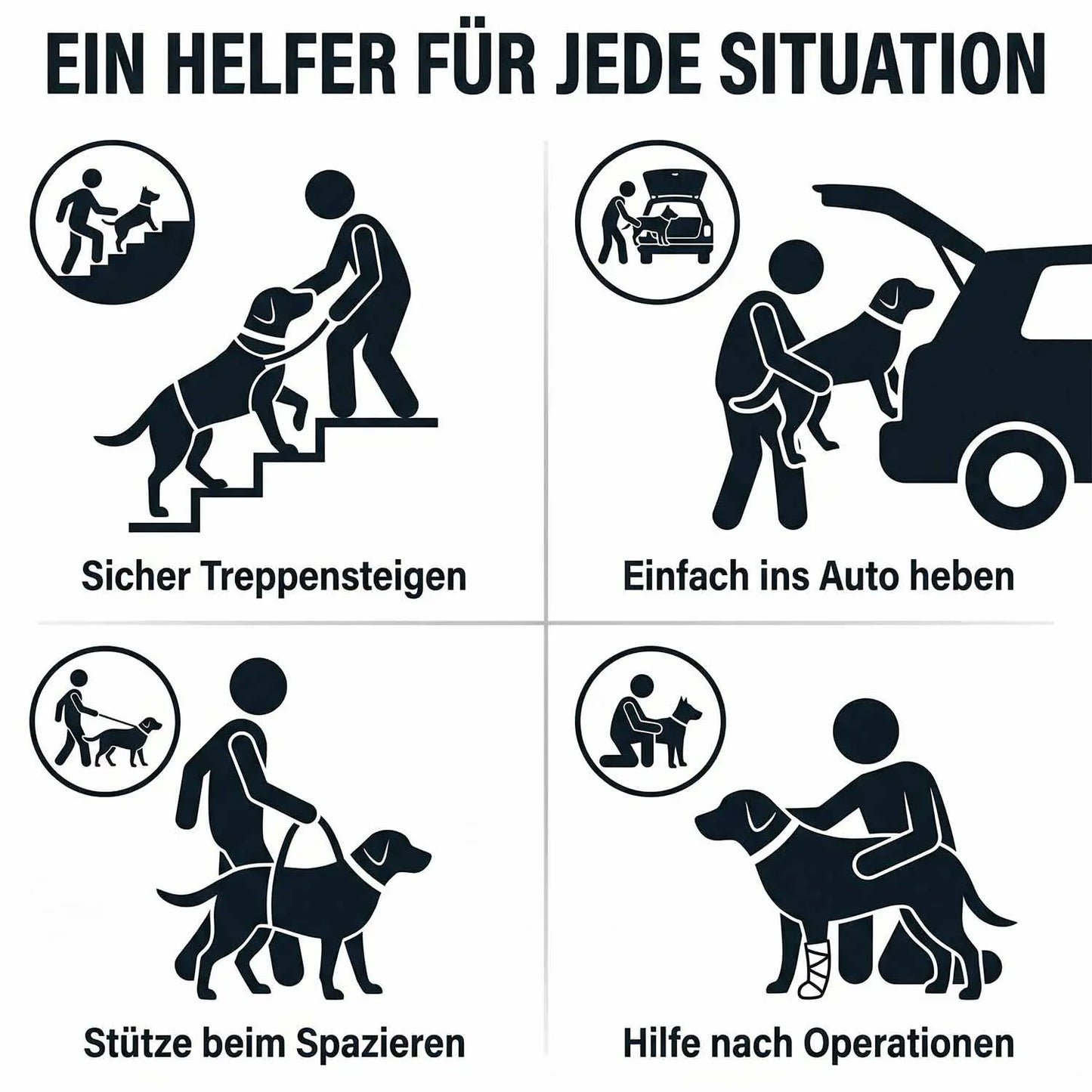 Ganzkoerpertrage Basic Hund