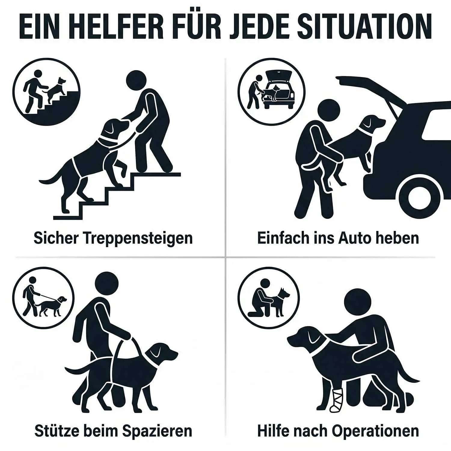 Ganzkoerpertrage Basic Hund