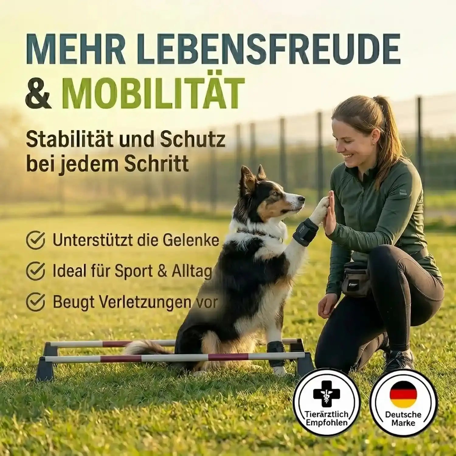 Gewichtsmanschette für Hunde
