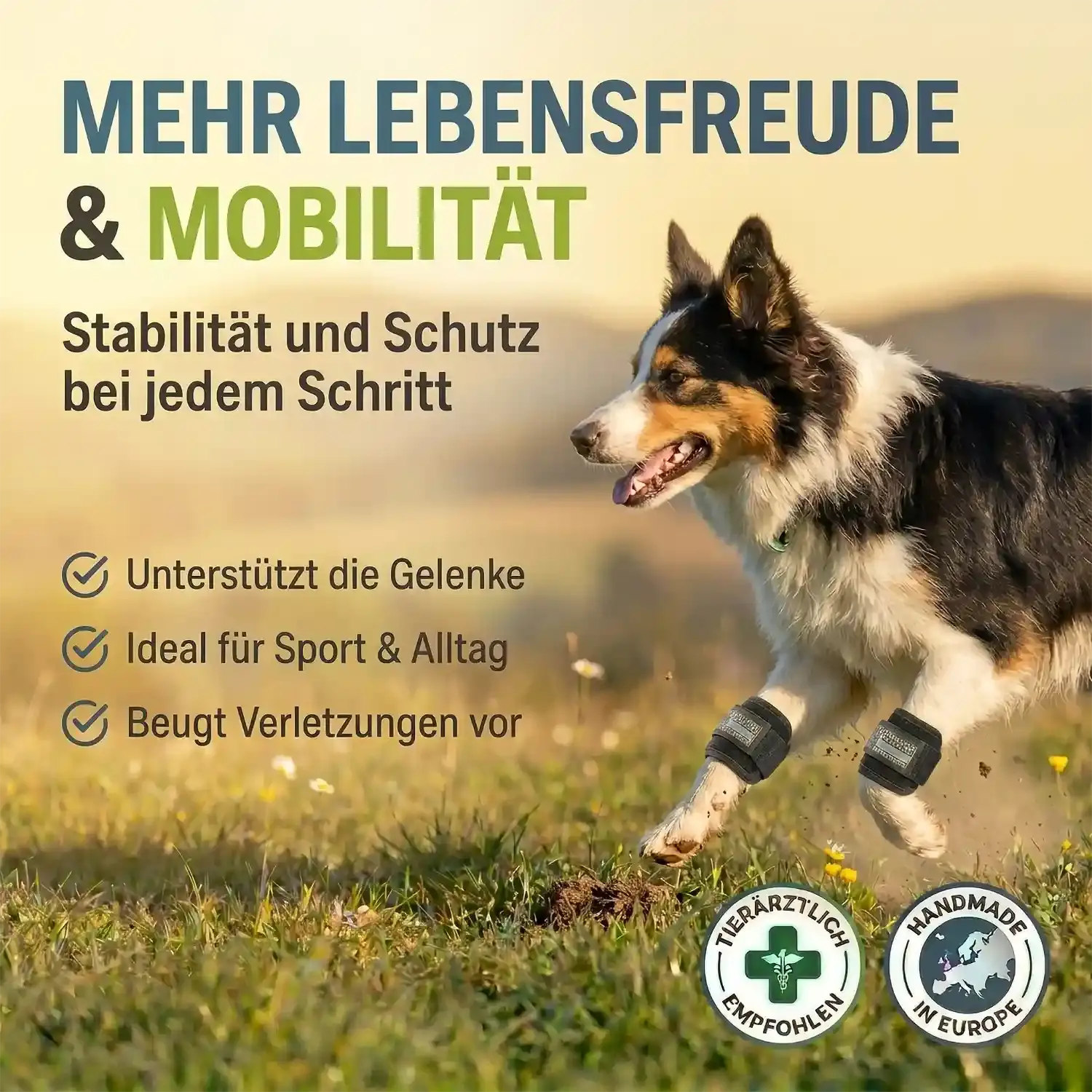 Gewichtsmanschette für Hunde