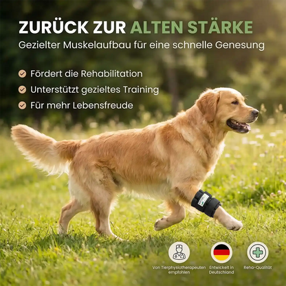 Gewichtsmanschette für Hunde