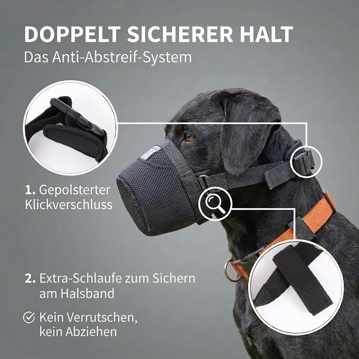Giftkoederschutz für Hunde
