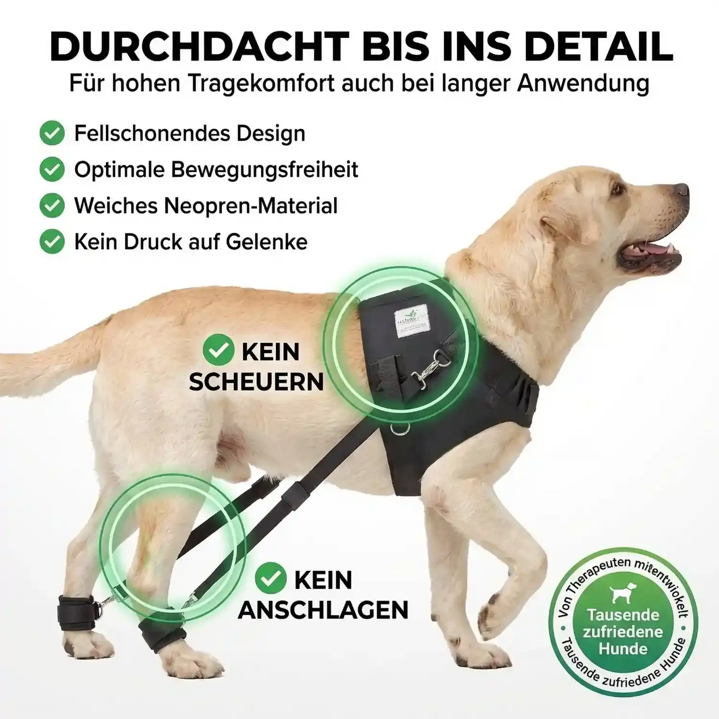 Hundeexpander, Rehageschirr für Probleme an den Hinterläufen