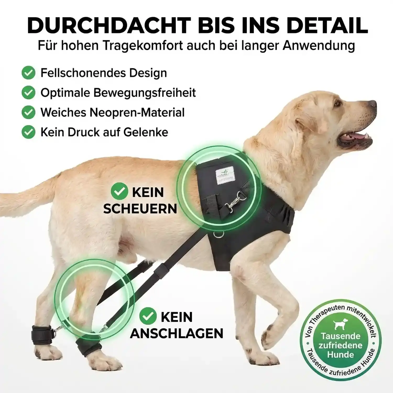 Hundeexpander, Rehageschirr für Probleme an den Hinterläufen