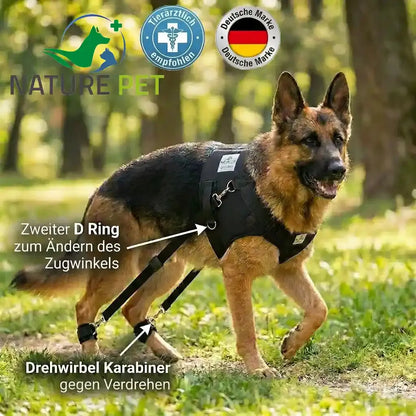 Hundeexpander, Rehageschirr für Probleme an den Hinterläufen