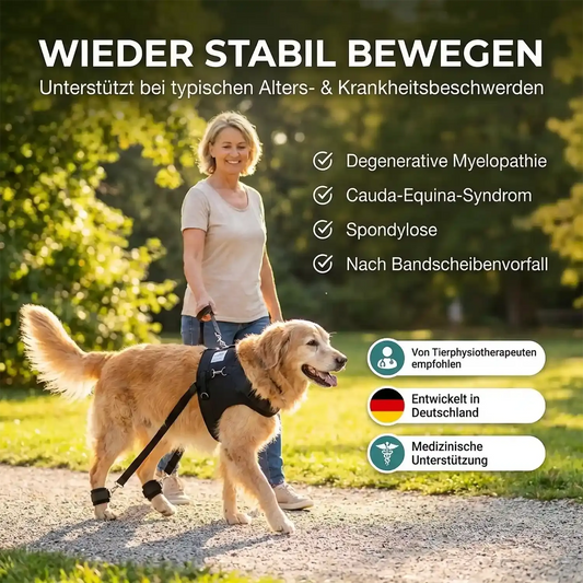 Hundeexpander, Rehageschirr für Probleme an den Hinterläufen
