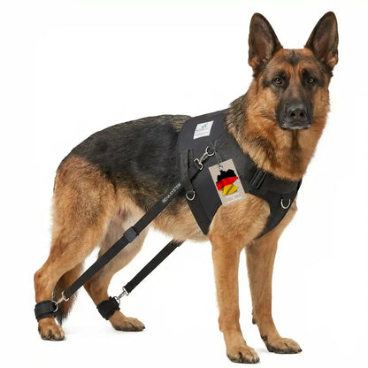 Hundeexpander, Rehageschirr für Probleme an den Hinterläufen