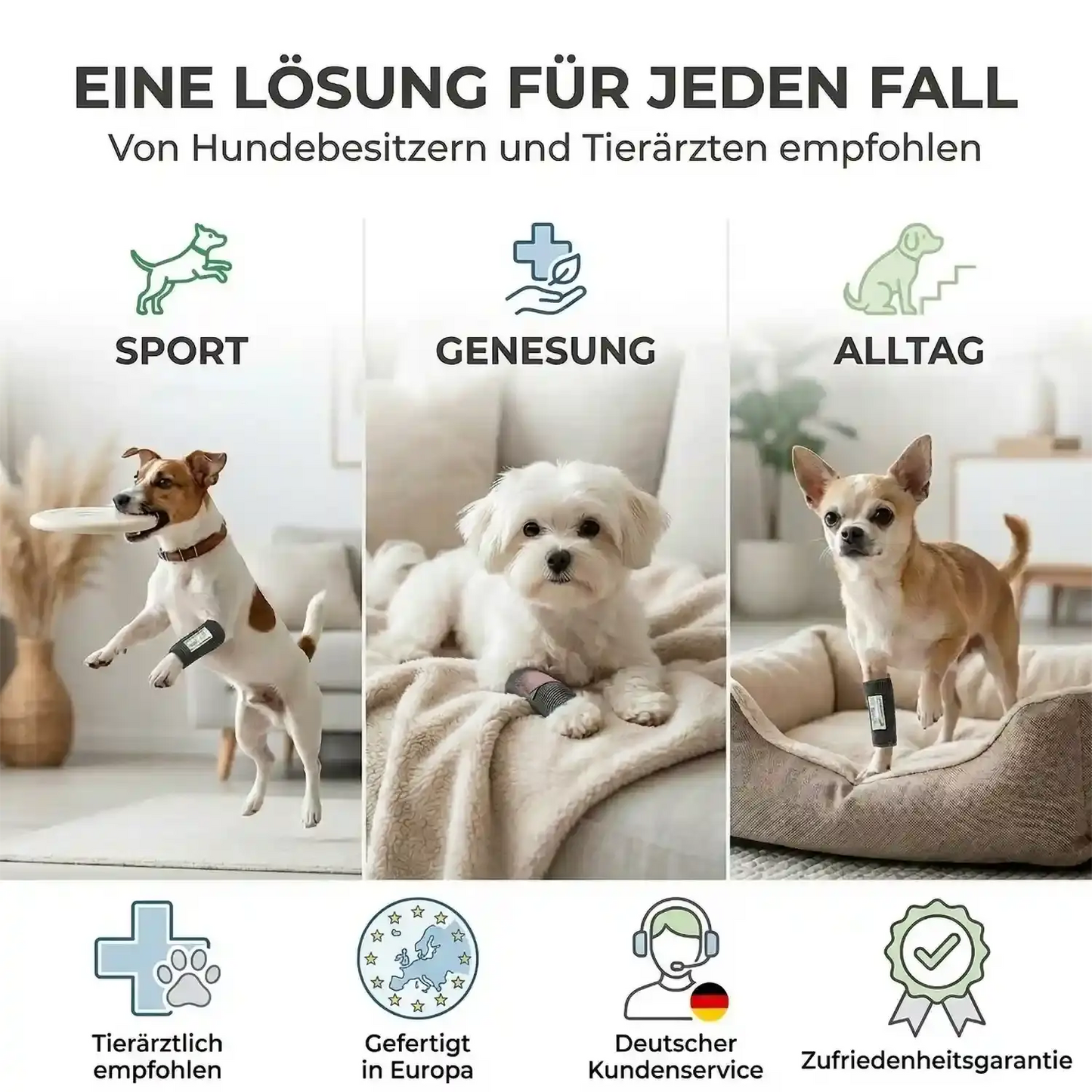 Elastische Handgelenkbandage für kleine Hunde