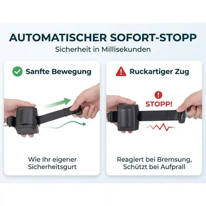 Hundesicherheitsgurt ausziehbar