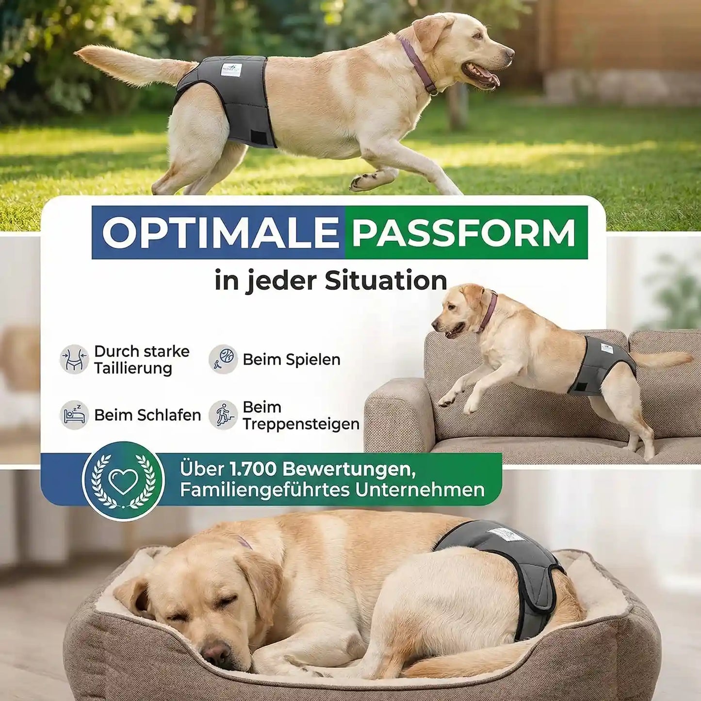 Läufigkeitshose für Hündinnen