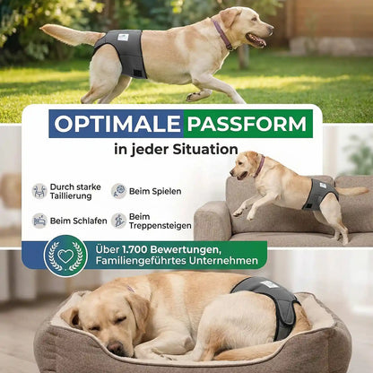 Läufigkeitshose für Hündinnen