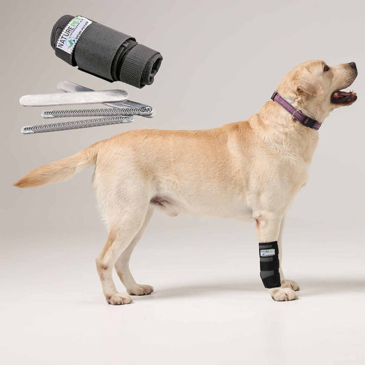Stabilisierungs Handgelenkbandage für Hunde