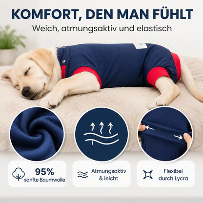 Hunde OP Body – Die komfortable Alternative zur Halskrause