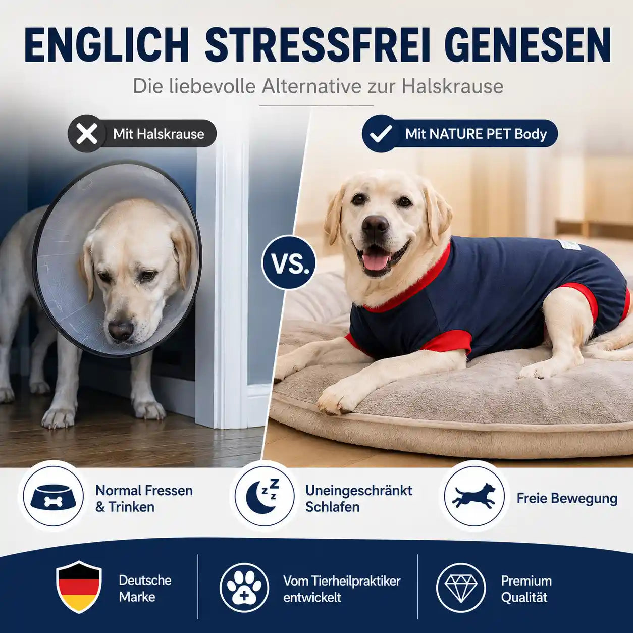 Hunde OP Body – Die komfortable Alternative zur Halskrause