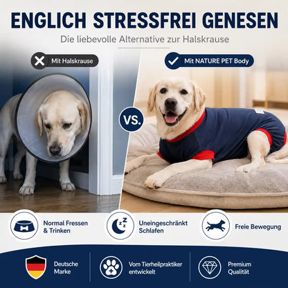 Hunde OP Body – Die komfortable Alternative zur Halskrause