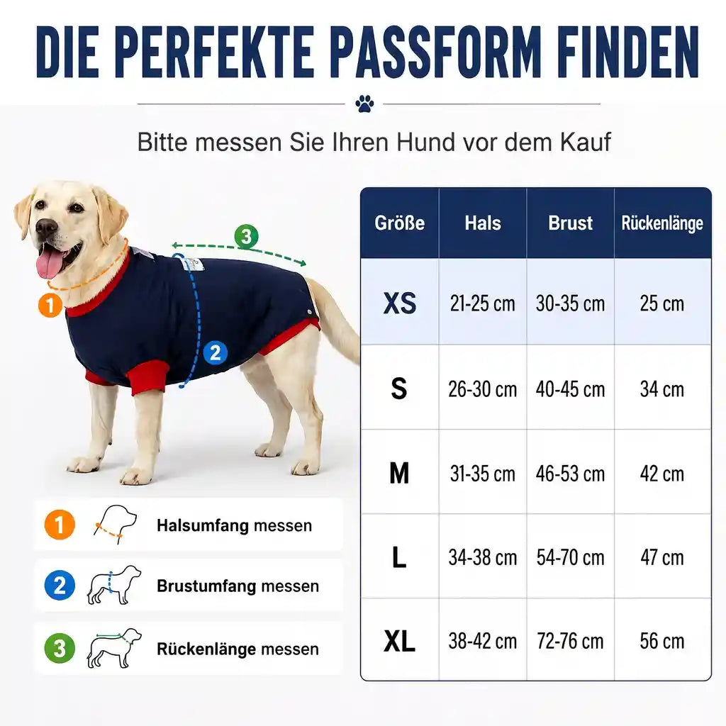 Hunde OP Body – Die komfortable Alternative zur Halskrause