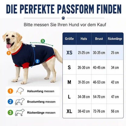 Hunde OP Body – Die komfortable Alternative zur Halskrause