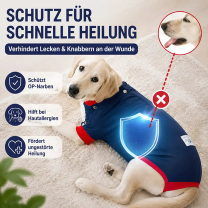 Hunde OP Body – Die komfortable Alternative zur Halskrause