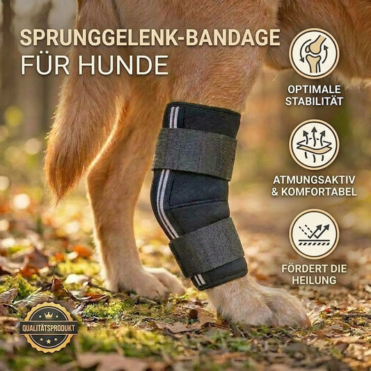 Sprunggelenk Durchtrittigkeits Bandage für Hunde