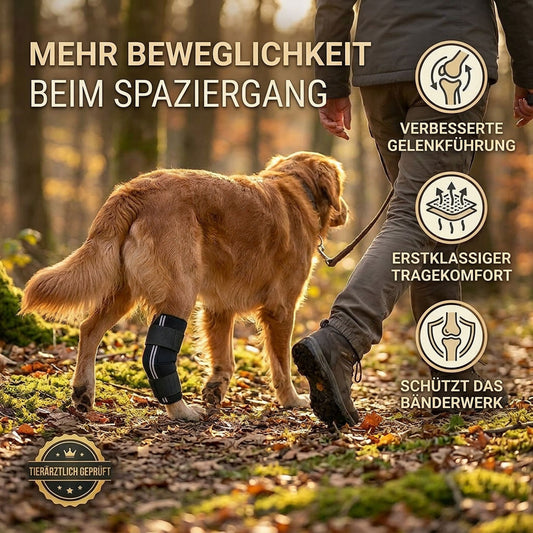 Sprunggelenk Durchtrittigkeits Bandage für Hunde 135° | Schutz & Unterstützung | Nature Pet