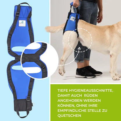 Hunde Tragehilfe hinten