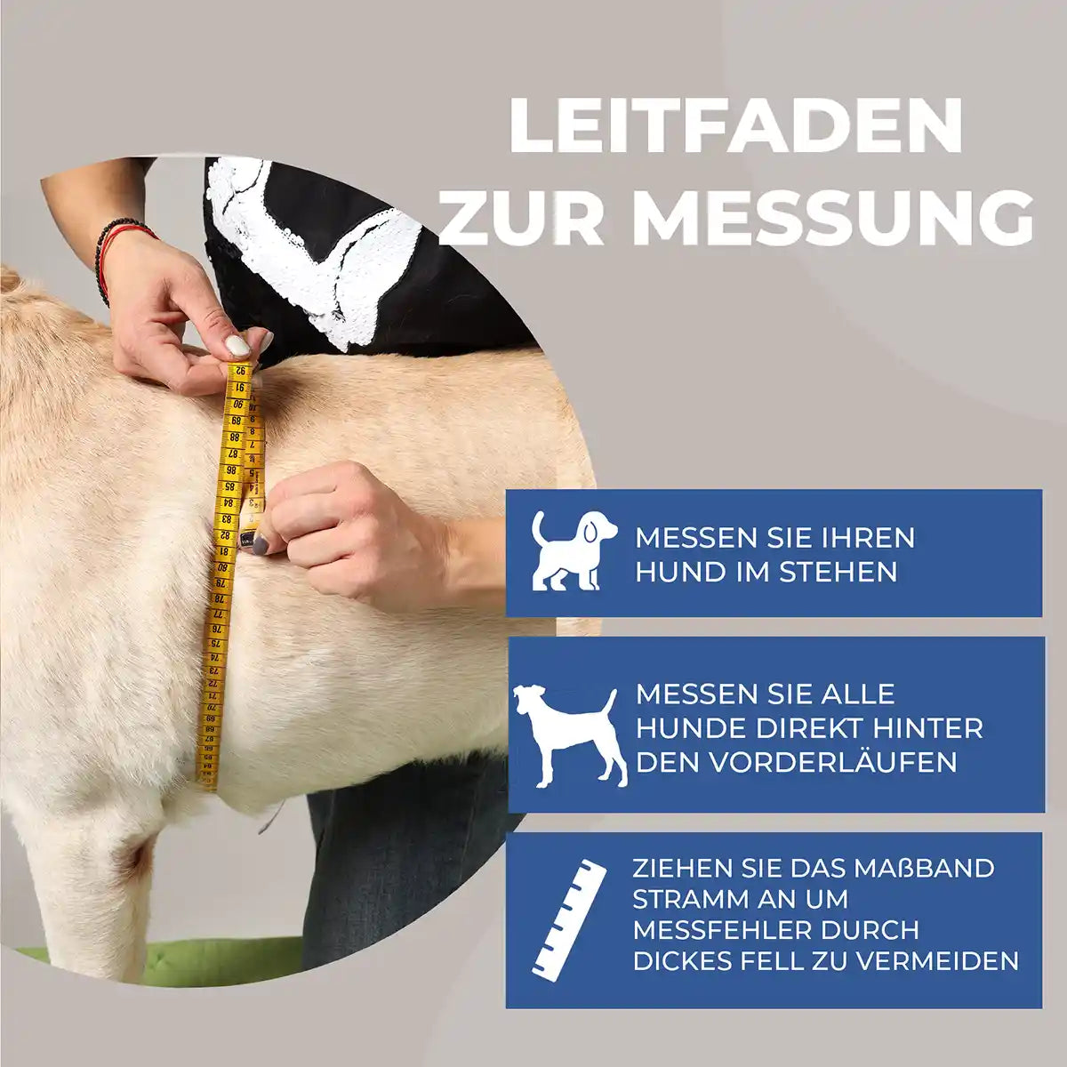 Vordere Tragehilfe für Hunde