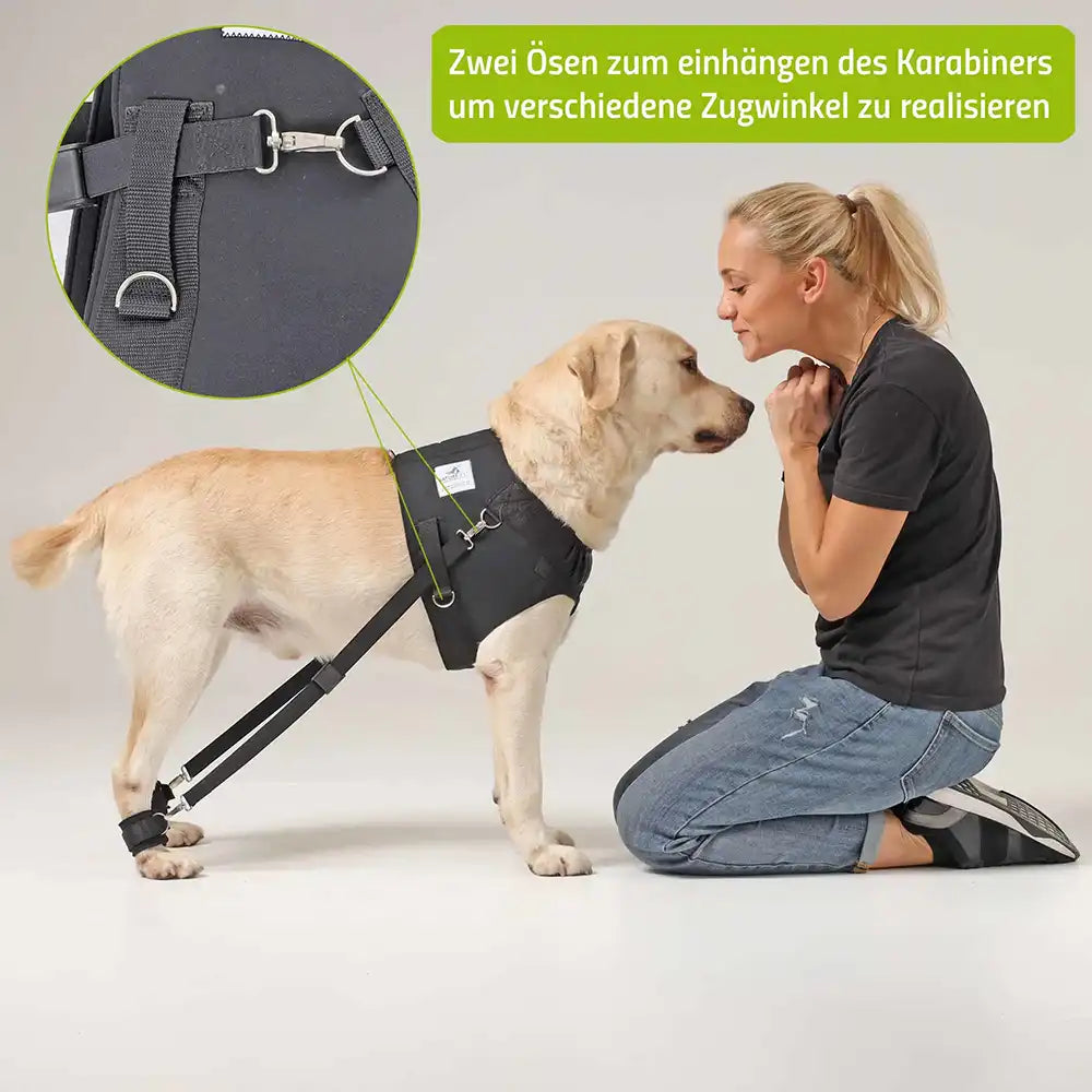 hunde trainingsgeschirr