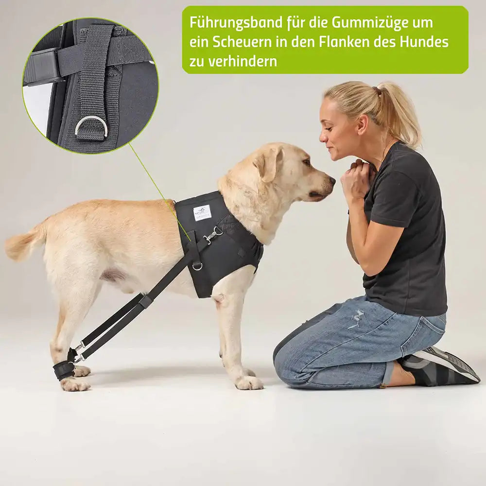 hunde trainingsgeschirr