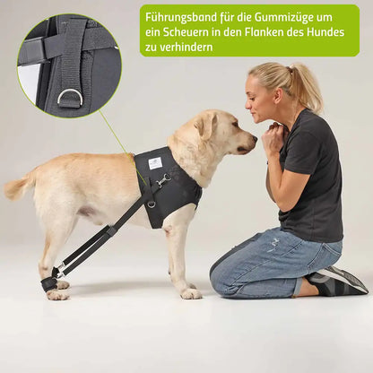 hunde trainingsgeschirr