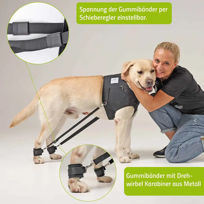 hunde trainingsgeschirr