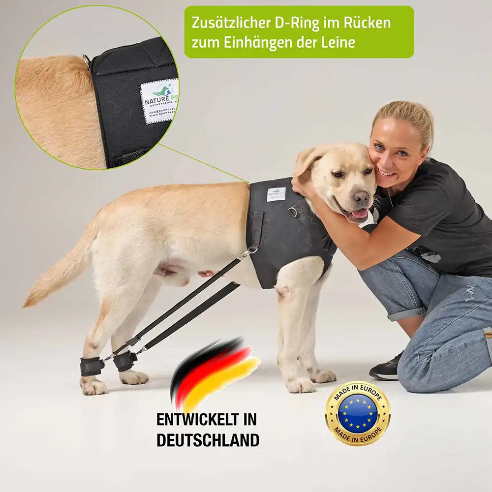 hunde trainingsgeschirr